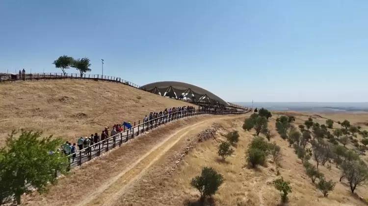 Göbeklitepe'de ağaç dikme iddiasına kazı başkanından yalanlama geldi - Resim: 2