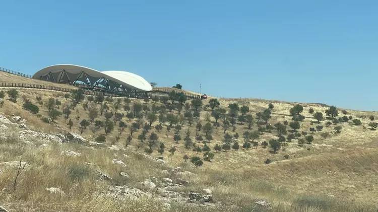 Göbeklitepe'de ağaç dikme iddiasına kazı başkanından yalanlama geldi - Resim: 5